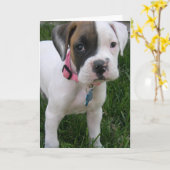 White Boxer Puppy Kaart (Gele Bloem)