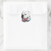 White Boxer stickers (Tas)