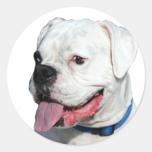 White Boxer stickers (Voorkant)