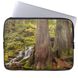 White Branch Falls, Oregon-cascaden, Oregon Laptop Sleeve