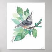 White Breast Nuthatch Bird Art Print (Voorkant)