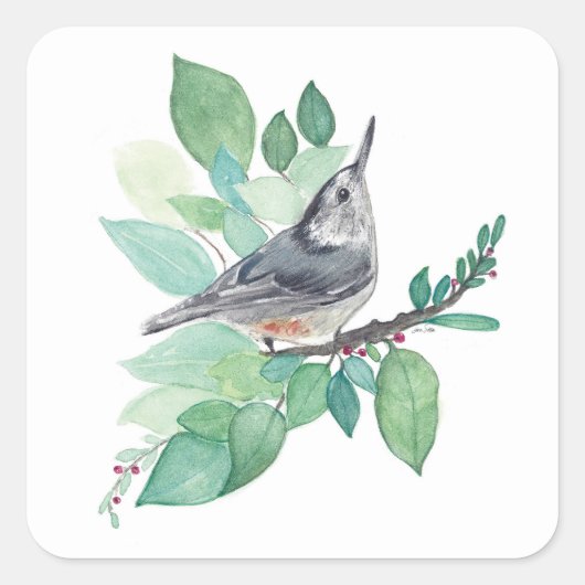 White Breasted Nuthatch Art Vierkante Sticker (Voorkant)