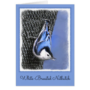 White-Breasted Nuthatch schilderende Originele Bir