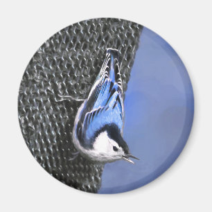 White-Breasted Nuthatch schilderende Originele Bir Magneet
