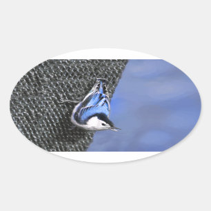 White-Breasted Nuthatch schilderende Originele Bir Ovale Sticker