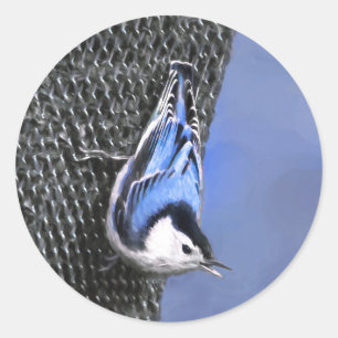 White-Breasted Nuthatch schilderende Originele Bir Ronde Sticker