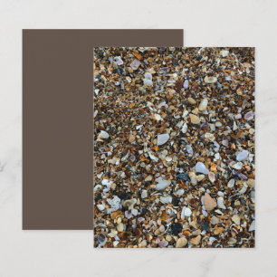 White Brown Coquina Zee Shell Beach ScrapbookPaper