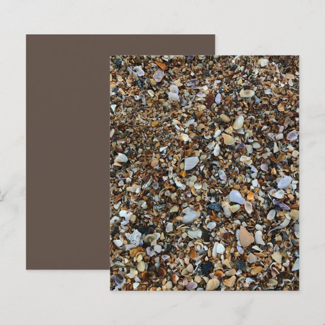 White Brown Coquina Zee Shell Beach ScrapbookPaper (Voorkant / Achterkant)