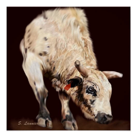 White Bucking Rodeo Bull Perfect Poster (Voorkant)