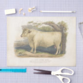 White Bull Koe Ephemera Decoupage Boerderij T Tissuepapier (Craft)