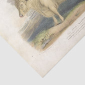 White Bull Koe Ephemera Decoupage Boerderij T Tissuepapier (Detail)