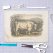 White Bull Koe Ephemera Decoupage Boerderij Tissuepapier (Craft)