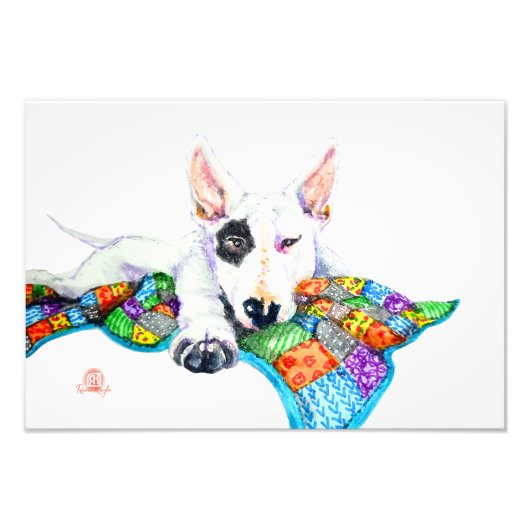 White Bullterrier op Patchwork - Kunst Foto Afdruk (Voorkant)