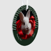White bunny with red ribbon on green holiday  (devant)