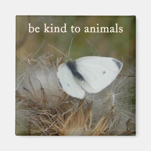 White Butterfly "Be Kind to Animals" Magnet Magneet (Voorkant)
