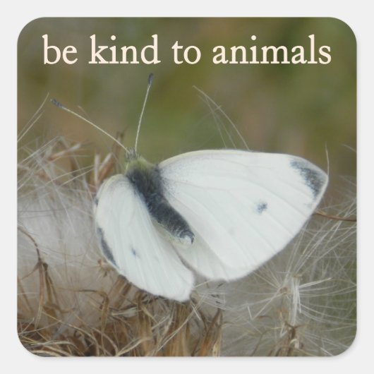 White Butterfly "Be Kind to Animals" Sticker Sheet (Devant)