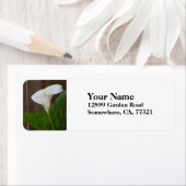 White Cali Lily Etiket (Insitu)