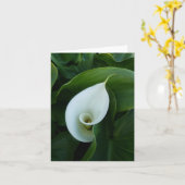 White Calla Green Leaves wenskaart Kaart (Gele Bloem)