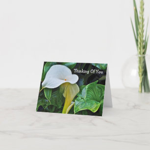 WHITE CALLA LILY, "DENKEN AAN JOU" () KAART