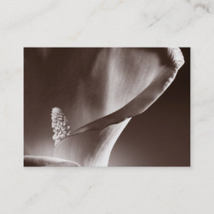 White Calla Lily Flower Black Achtergrond Visitekaartje