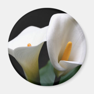 White Calla Lily Flower Round Magnet Magneet