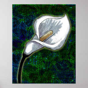 White Calla Lily (Semi-Gloss-Poster) Poster