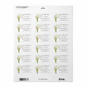 White Calla Lily | Weddenschappen waarop de datuml Etiket (Full Sheet)