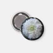 White Camelia Photo Circle Magnet Magneet (Voorkant / Achterkant)