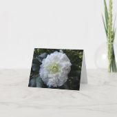 White Camelia Photo Folded Note Kaart (Voorkant)