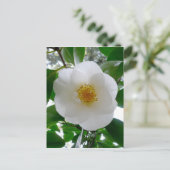 White Camellia Briefkaart (Staand voorkant)