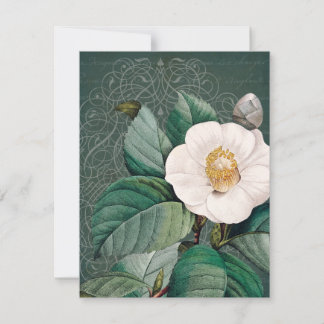 White Camellia Flat Wenskaart