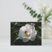 White Camellia Flower Briefkaart (Staand voorkant)
