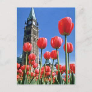 White Canadian Tulip Festival, Peace Tower met u Briefkaart