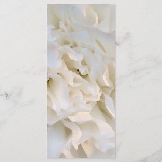 White Carnance Floral Wedding Programme Programma (Achterkant)