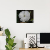White Carnance Print (Thuiskantoor)