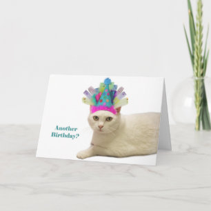 White Cat Birthday Kaart