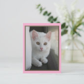 White Cat Chillin' Briefkaart (Staand voorkant)