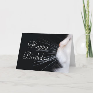 White Cat Design 1 Happy Birthday Wenskaart Kaart