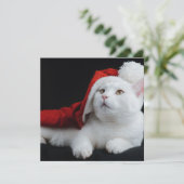 White Cat Kerstmis Kaart (Staand voorkant)