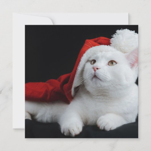 White Cat Kerstmis Kaart (Voorkant)