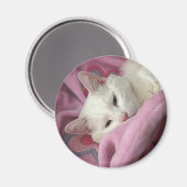 White Cat Magnet Magneet (Voorkant / Achterkant)