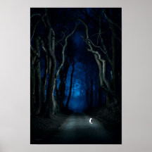White Cat on Canopy Road at Night Poster Kunstdruk