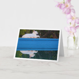 White Cat Reflection Card Kaart