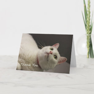 White Cat Thank You Card beroemd gemaakt door Focu Bedankkaart