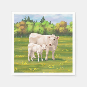 White Charolais Koe & Cute Calf Beef Cattle Servet