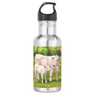 White Charolais Koe & Cute Calf Beef Cattle Waterfles