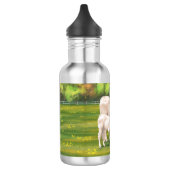 White Charolais Koe & Cute Calf Beef Cattle Waterfles (Links)