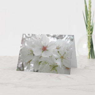 White Cherry Blossom Photo Kaart