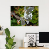 White Cherry Blossom Poster (Thuiskantoor)