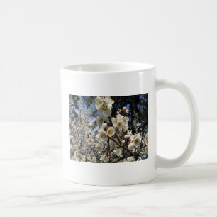 White Cherry Blossom / Sakura / サ ク ラ(桜) Koffiemok